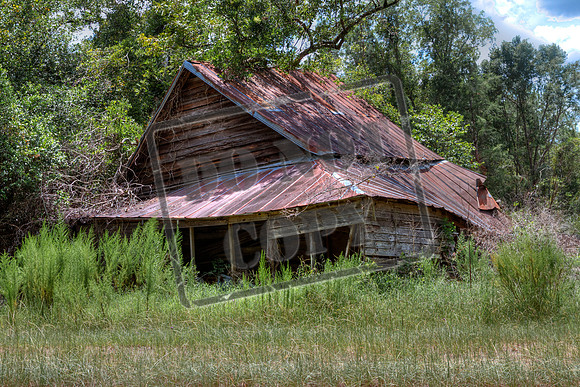 telfair aug 22254_46