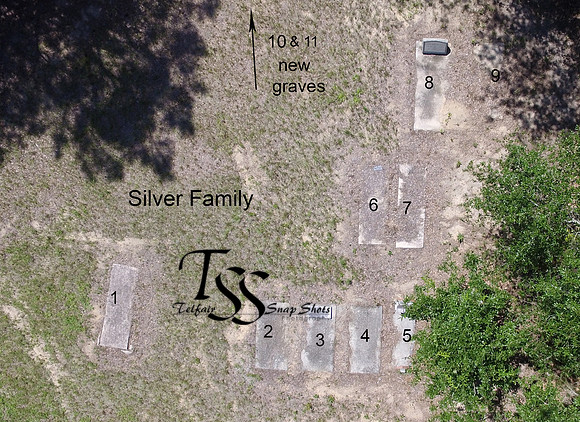 Silver Family