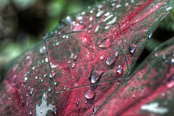 water_0021_46