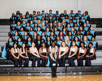 Band