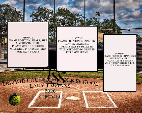 stadium collage copy