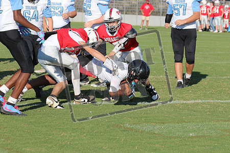 WCMS15sept_0062