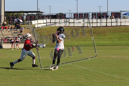 WCMS15sept_0056