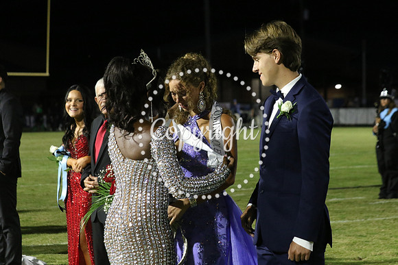 Senior King 371