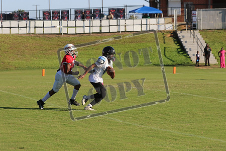 WCMS15sept_0055