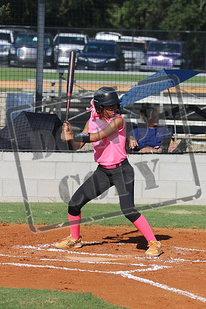 wcms 1 sept_0092