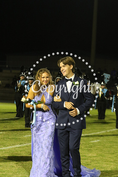 Senior King 361