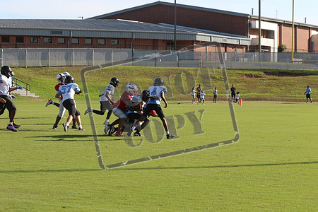 WCMS15sept_0029