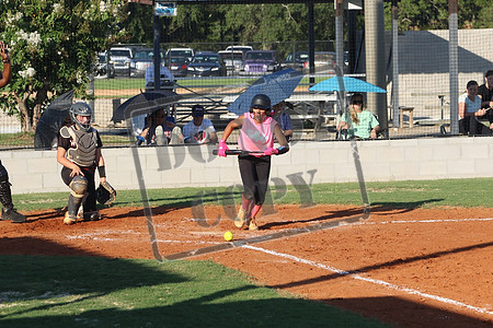 wcms 1 sept_0307