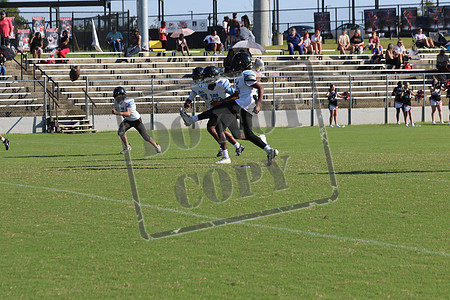WCMS15sept_0006