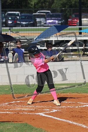 wcms 1 sept_0162