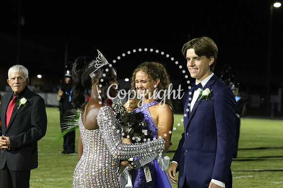 Senior King 367