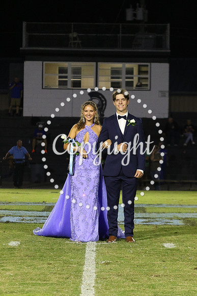 Senior King 343