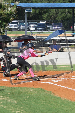 wcms 1 sept_0102
