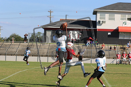 WCMS15sept_0024