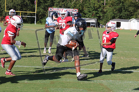 WCMS15sept_0039