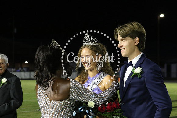 Senior King 385