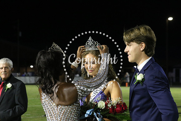 Senior King 381