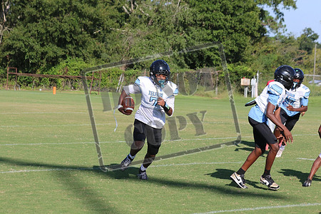 WCMS15sept_0012