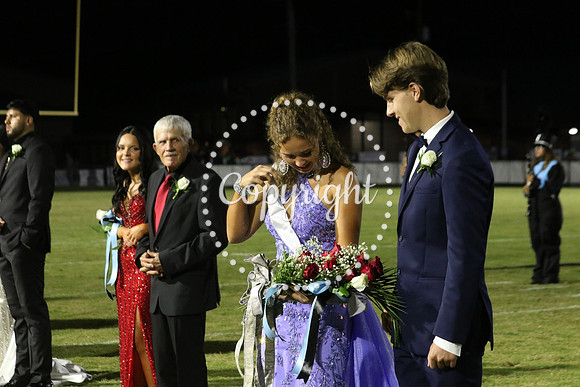 Senior King 377