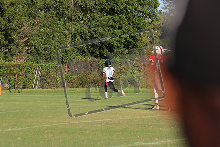 WCMS15sept_0082