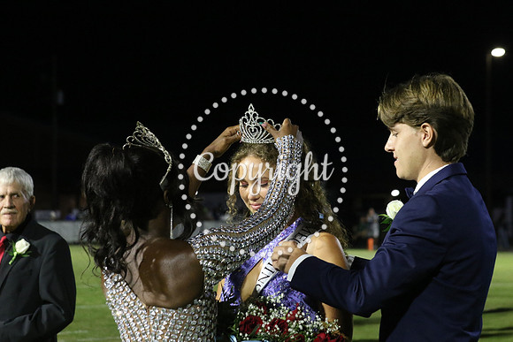 Senior King 379