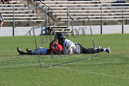 WCMS15sept_0023