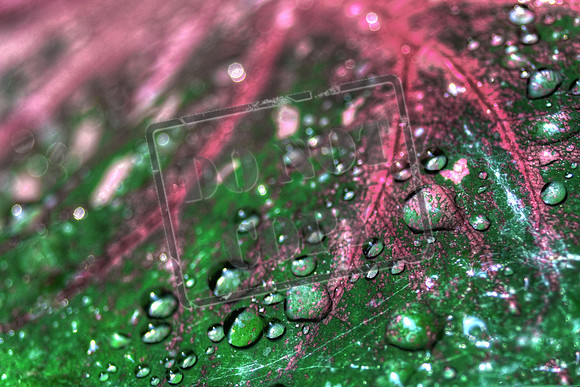 water_0015_46