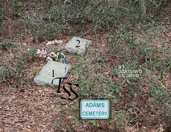 Adams Cem. #2 Adams Cem. Rd. numbers