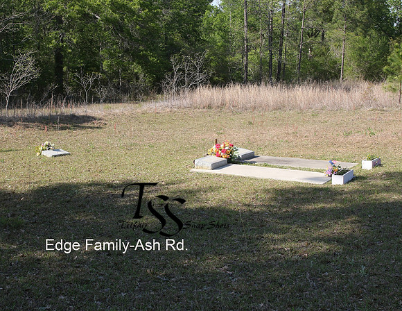 Edge Family Ash Rd.