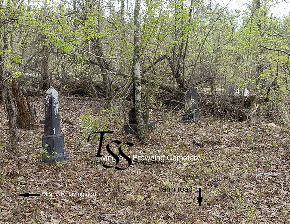 Livingston Browning Cemetery numbers
