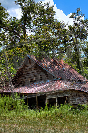 telfair aug 22263_46