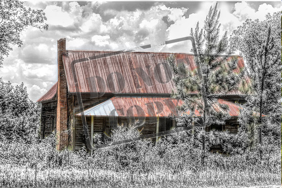 Wheeler July 6360_1_2_color pencill 46