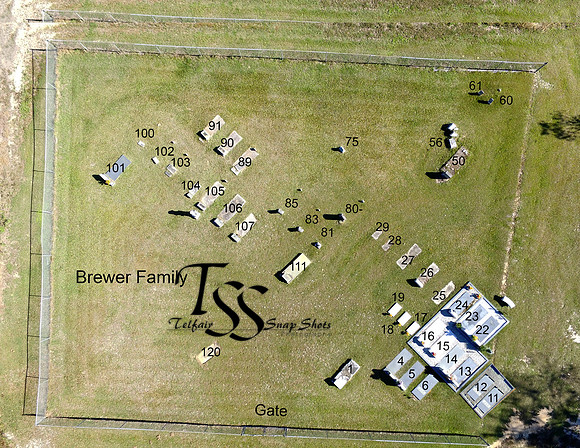 Brewer Family