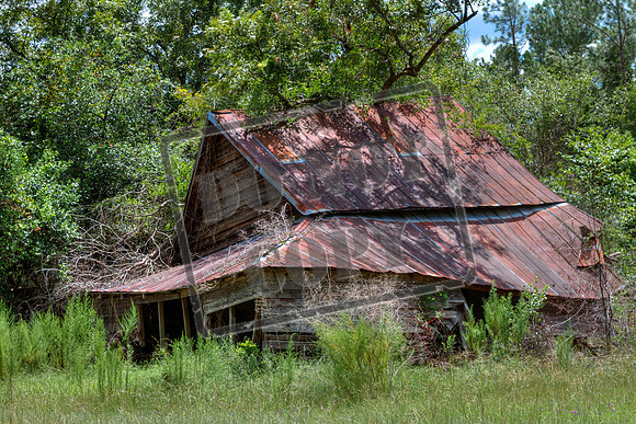 telfair aug 22248_46