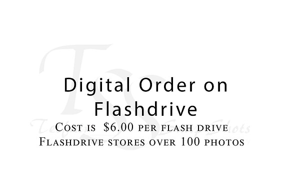 Flashdrive
