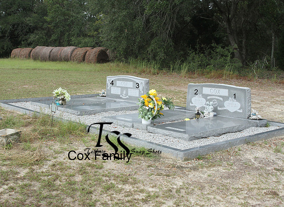 Cox Family