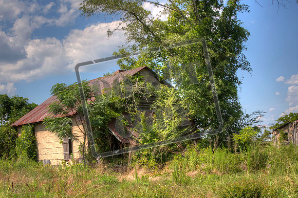 wheeler june 21_0046_46