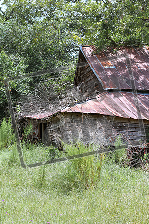 telfair aug 22269_46
