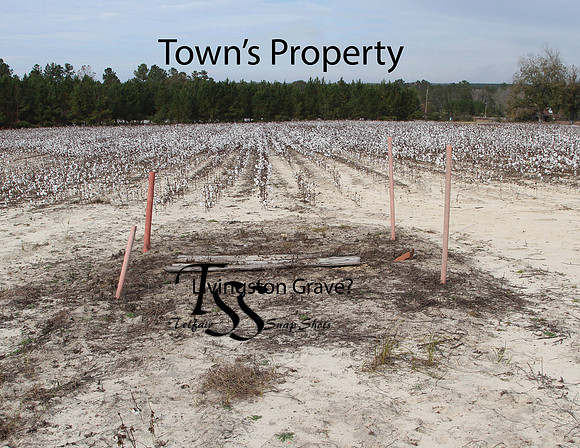 Towns Property