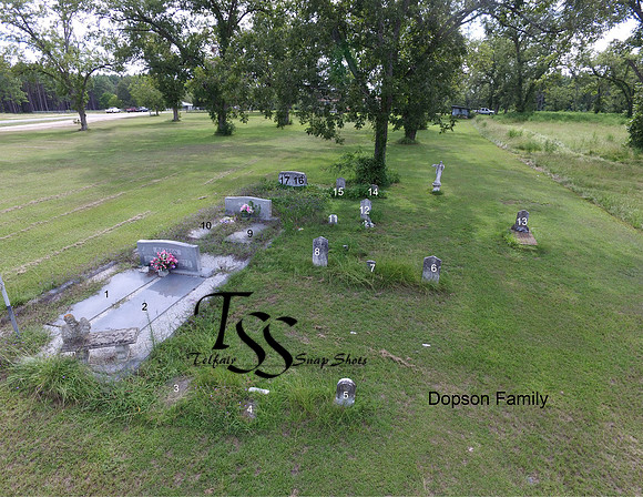 Dopson Family