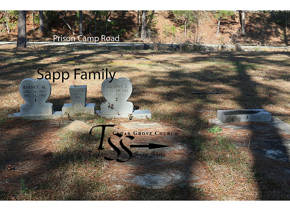 Sapp Family Cemetery copy