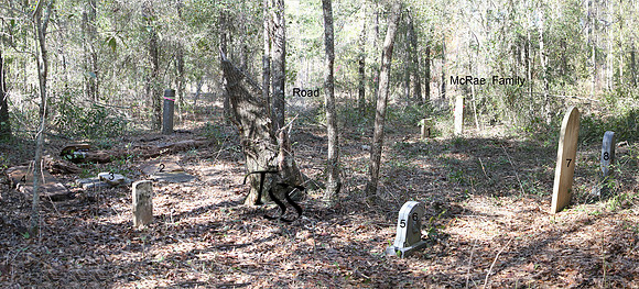McRae Family Panorama