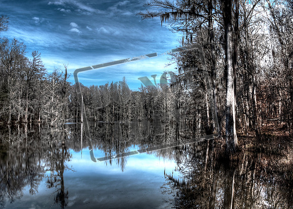 cypress lake
