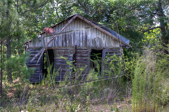 wheeler june 21_0022_46