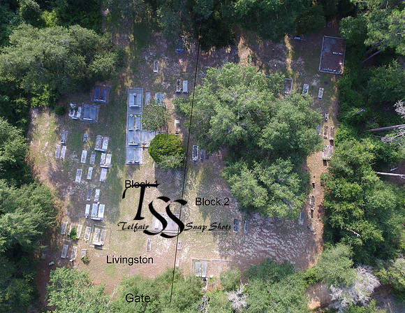 1 Liivngston sections