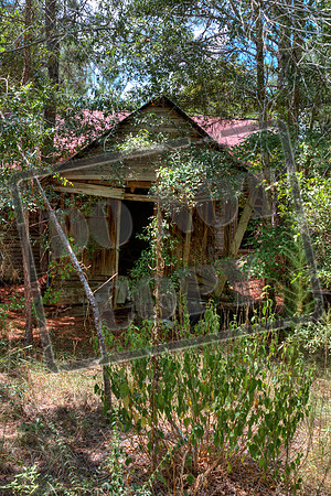 telfair aug 22244_46