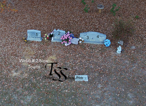 Webb #2 Cemetery--Towns