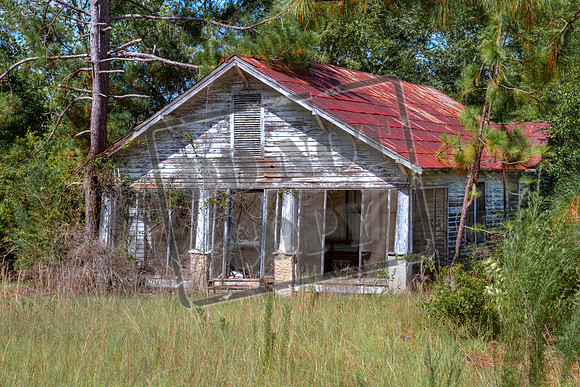 July 28_0227_telfair46