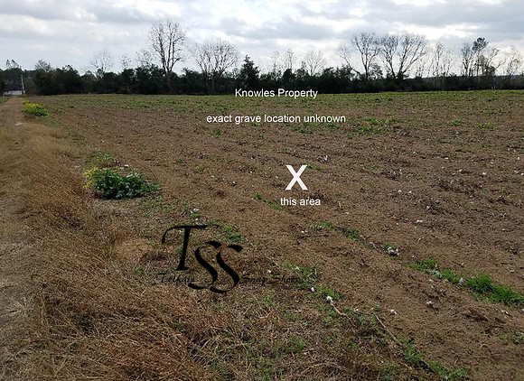 knowles property grave